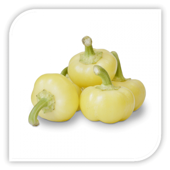 Seminte de ardei iute de tip mar ISPAN F1