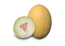 Seminte de pepene galben JAGUAR F1