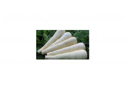 Seminte de pastarnac PEARL F1