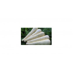 Seminte de pastarnac PEARL F1