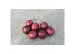 Seminte de ceapa rosie ROBIN 250.000 sem