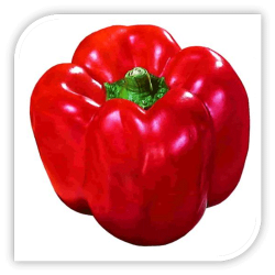 Ardei california Savio F1