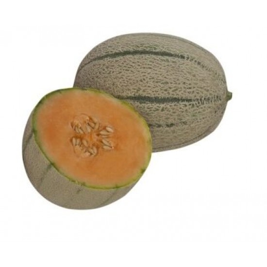 Seminte de pepene galben TEMAR F1