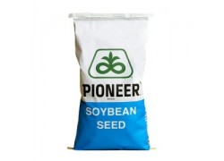 Seminte de soia PR92B63
