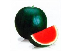 Seminte de pepene verde TITANIA F1
