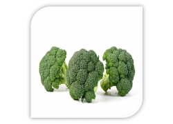 Seminte de broccoli TRITON F1