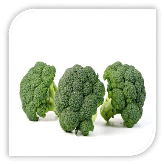 Seminte de broccoli TRITON F1
