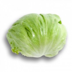 Seminte de salata UMBRINAS drajata
