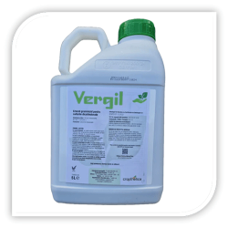 VERGIL